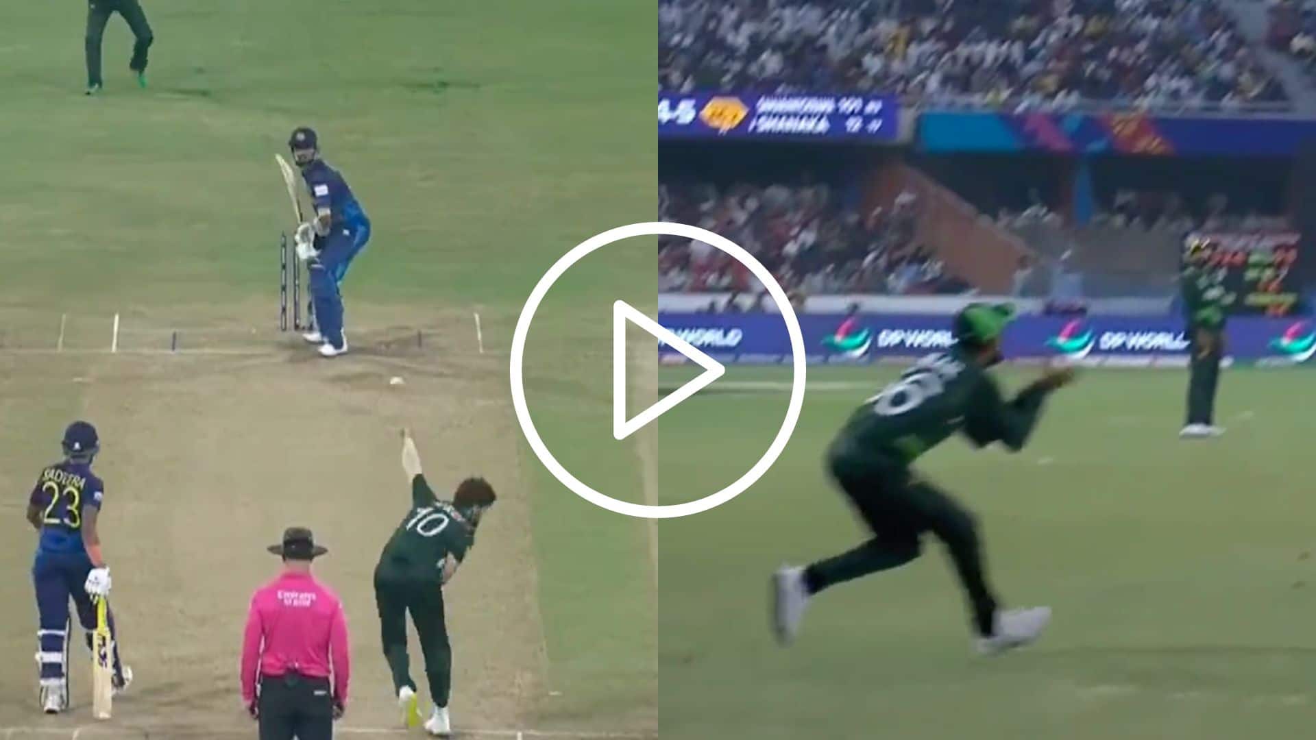 [Watch] Babar Azam Brings Smiles On Shaheen Afridi's Face With ‘Outrageous' Running Catch